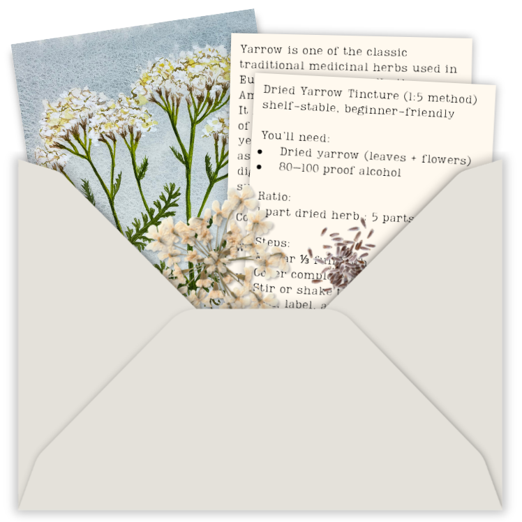 Notes from Nature Yarrow Example