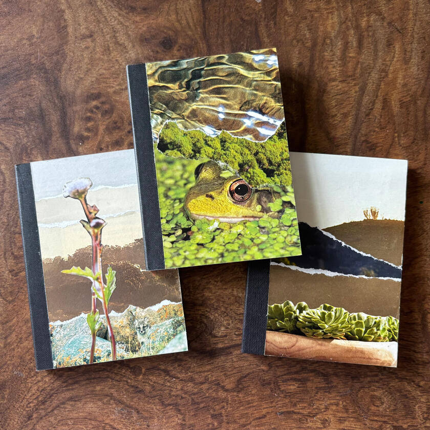 collage pocket notebooks