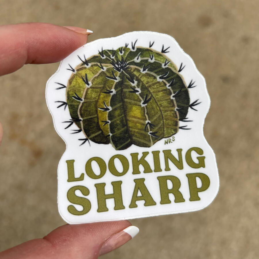 looking sharp cactus sticker