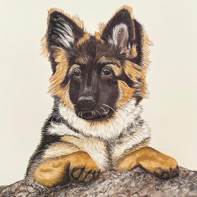 German Shepherd Puppy – Original Watercolor Painting