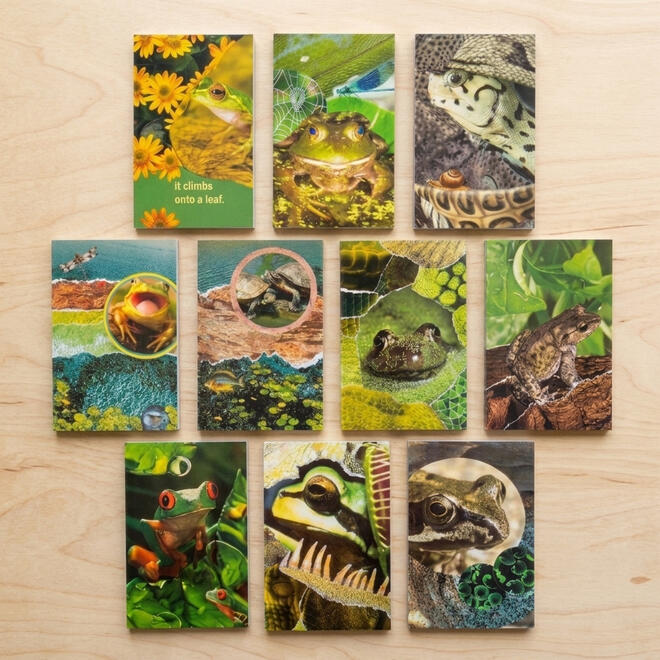 pond memo pads
