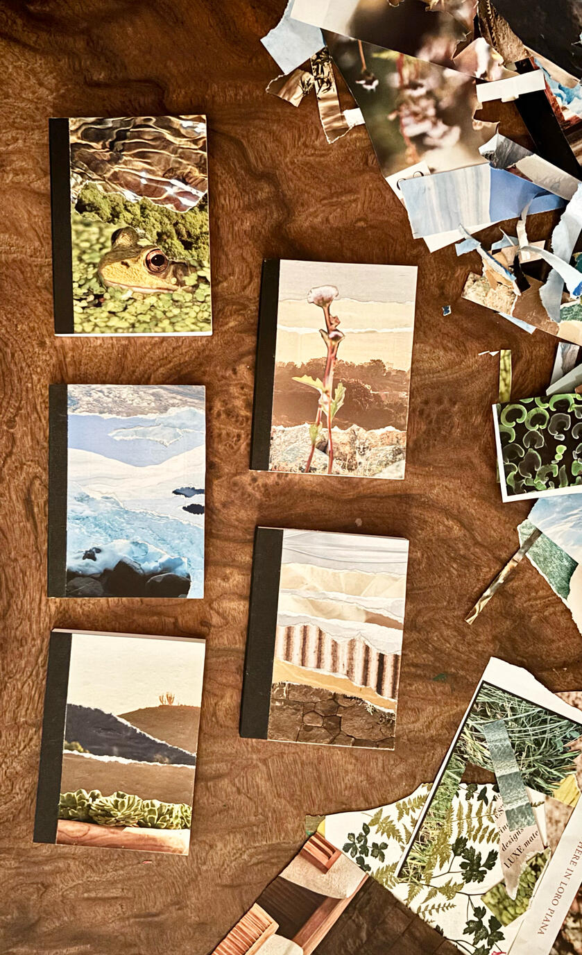 collage pocket notebooks