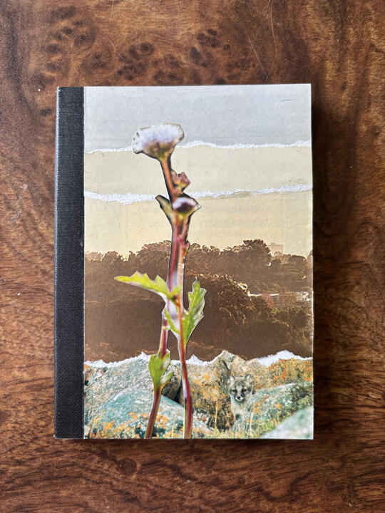 collage pocket notebooks - flower