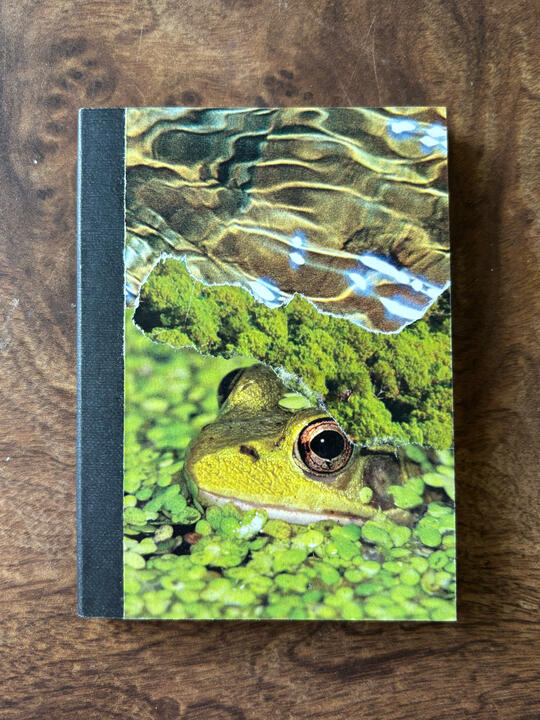 collage pocket notebooks - frog